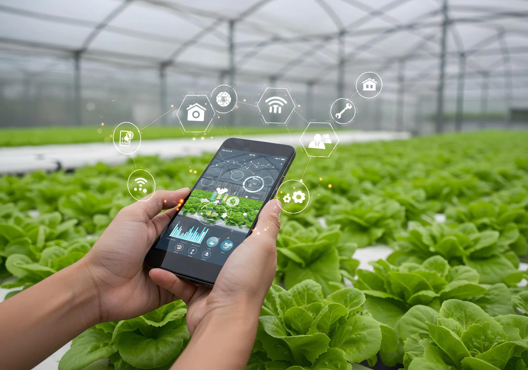 Agriculture